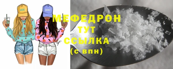 индика Волоколамск
