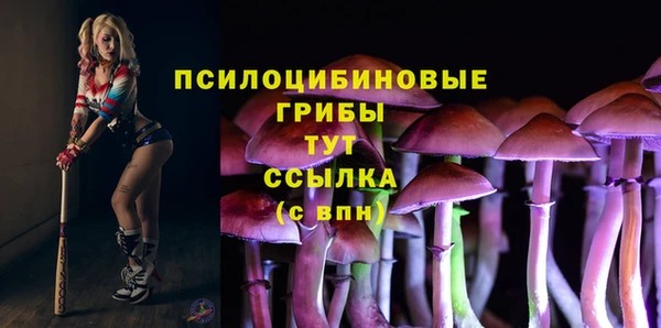 тгк Волосово