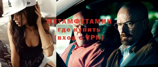 индика Волоколамск