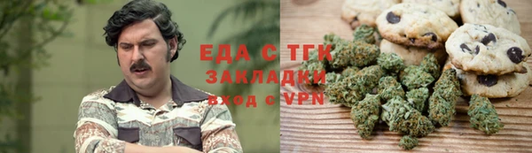 индика Волоколамск