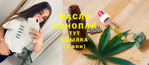 индика Волоколамск