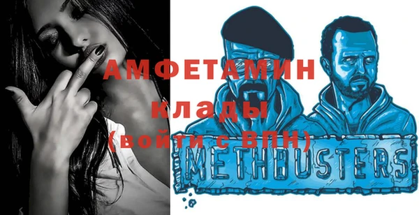 индика Волоколамск
