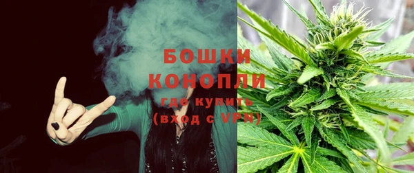 гидропоника Козловка
