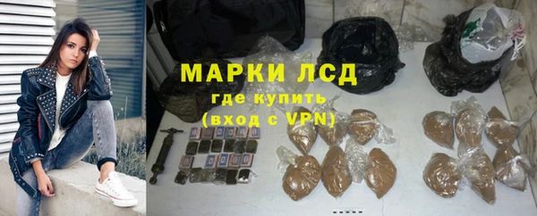 индика Волоколамск