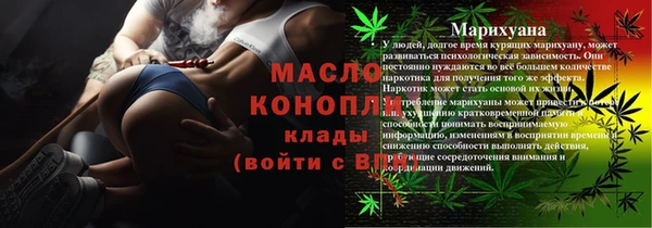 индика Волоколамск
