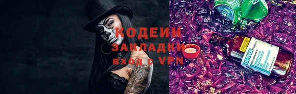 индика Волоколамск