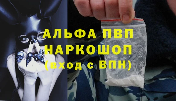индика Волоколамск