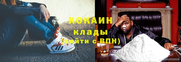 индика Волоколамск