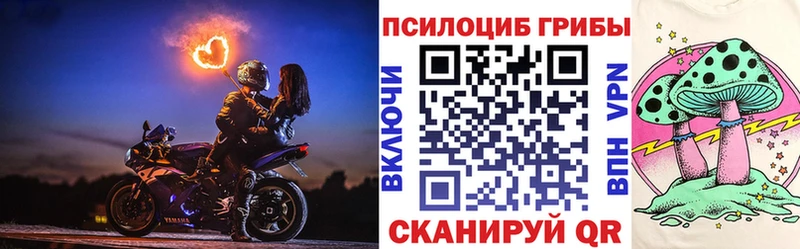 Галлюциногенные грибы Cubensis  Ипатово 